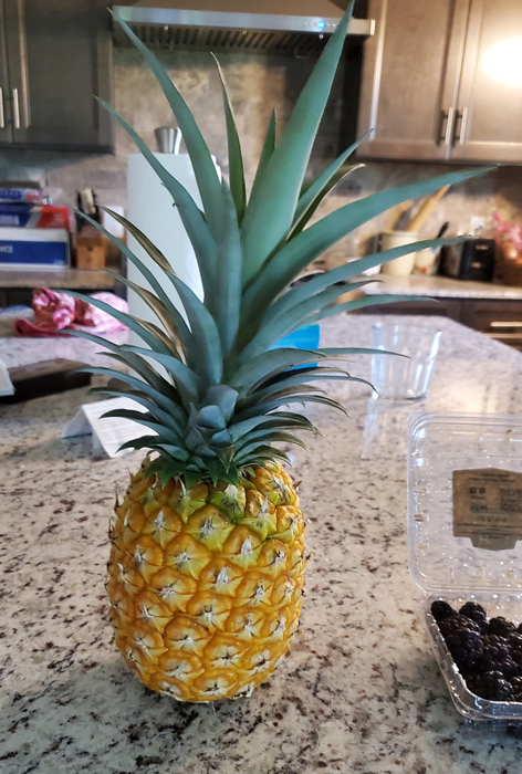 Name:  pineapple.jpg
Views: 1292
Size:  307.8 KB