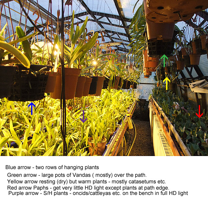 Name:  My-greenhouse-in-winter-1..jpg
Views: 831
Size:  221.5 KB