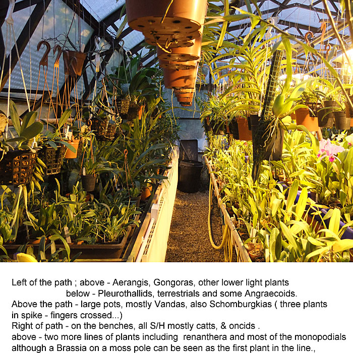 Name:  My-greenhouse-in-winter-2..jpg
Views: 790
Size:  245.5 KB