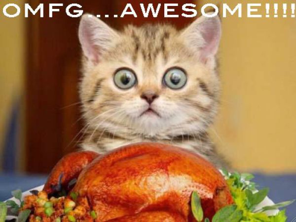Name:  funny_thanksgiving_moments_640_30.jpg
Views: 675
Size:  40.6 KB